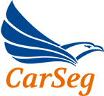 CarSeg